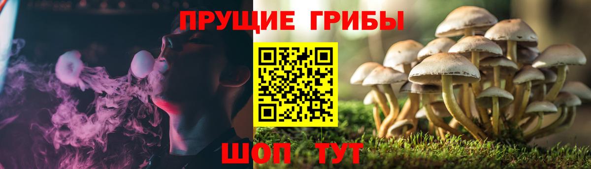Галлюциногенные грибы мицелий  Вход с VPN  Старая Купавна  где продают наркотики  Псилоцибиновые грибы прущие грибы 